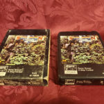 Savoy Brown, A Step Further