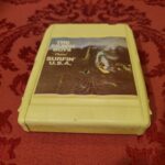 Beach Boys, Surfin' USA