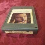 Bruce Springsteen, The Wild Innocent & E Street Shuffle (WIESS)