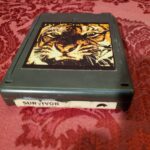 Survivor, Eye Of The Tiger