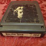 Walter Egan, Not Shy