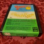 Beach Boys, Summer Fun