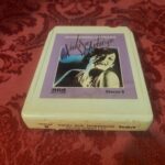 Vicki Sue Robinson, Never Gonna Let You Go