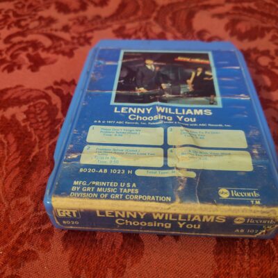 Lenny Williams, Choosing You