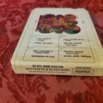 Butterfield Blues Band, In My Own Dream