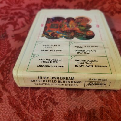 Butterfield Blues Band, In My Own Dream