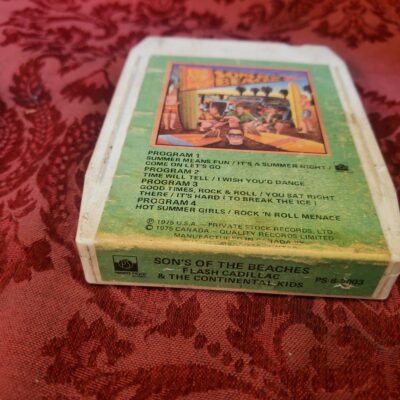 Flash Cadillac & The Continental Kids, Sons Of The Beaches