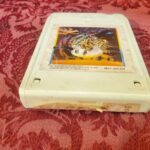 PFM / P.F.M., PFM Cook