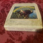 Country Country Country, Nashville 10 / Expansion Singers