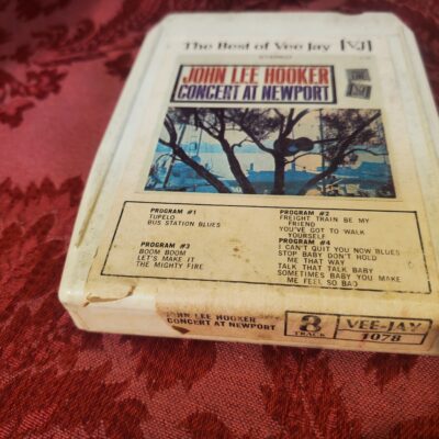 John Lee Hooker, Concert At Newport