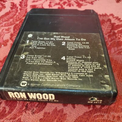 Ron Woods, I've Got My Own Album To Do